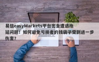 易信easyMarkets平台出金遭遇拖延问题！如何避免亏损者的钱袋子受到进一步伤害？