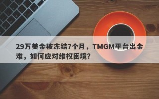 29万美金被冻结7个月，TMGM平台出金难，如何应对维权困境？