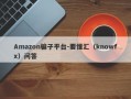 Amazon骗子平台-要懂汇（knowfx）问答