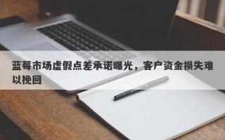 蓝莓市场虚假点差承诺曝光，客户资金损失难以挽回