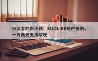 投资者的血汗钱：SOOLIKE账户被删，一万美元无法取现