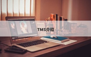 TMS介绍