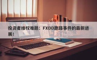 投资者维权难题：FXDD跑路事件的最新进展！