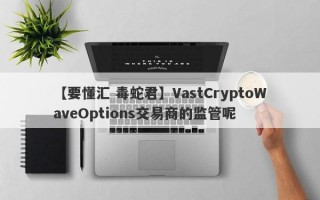 【要懂汇 毒蛇君】VastCryptoWaveOptions交易商的监管呢
