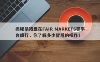 揭秘杀猪盘在FAIR MARKETS等平台盛行，你了解多少背后的操作？