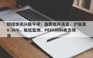 财经快讯|A股午评：指数低开高走，沪指涨0.36%，胎压监测、PEEK材料概念领涨