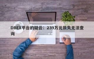 DBEX平台的疑云：239万元损失无法查询