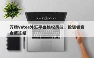 万腾Vatee外汇平台维权风波，投资者资金遭冻结