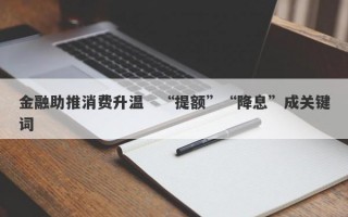 金融助推消费升温　“提额”“降息”成关键词