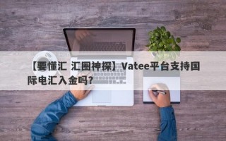 【要懂汇 汇圈神探】Vatee平台支持国际电汇入金吗？
