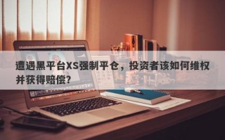 遭遇黑平台XS强制平仓，投资者该如何维权并获得赔偿？