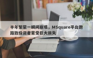 半年繁荣一瞬间崩塌，MSquare平台跑路致投资者蒙受巨大损失