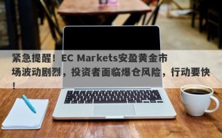 紧急提醒！EC Markets安盈黄金市场波动剧烈，投资者面临爆仓风险，行动要快！