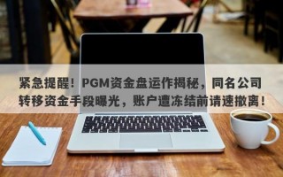 紧急提醒！PGM资金盘运作揭秘，同名公司转移资金手段曝光，账户遭冻结前请速撤离！