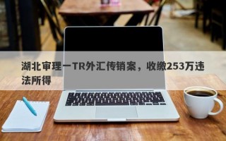 湖北审理一TR外汇传销案，收缴253万违法所得