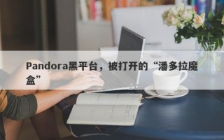 Pandora黑平台，被打开的“潘多拉魔盒”