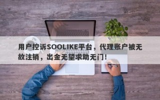 用户控诉SOOLIKE平台，代理账户被无故注销，出金无望求助无门！