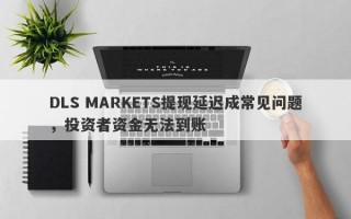 DLS MARKETS提现延迟成常见问题，投资者资金无法到账