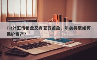 TR外汇传销盘又有复苏迹象，年关将至如何保护资产？