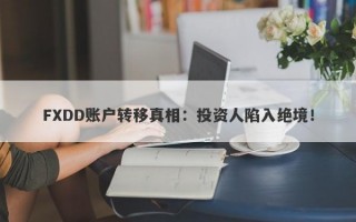 FXDD账户转移真相：投资人陷入绝境！