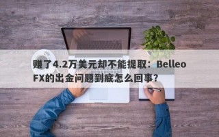 赚了4.2万美元却不能提取：BelleoFX的出金问题到底怎么回事？