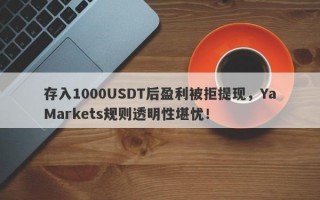 存入1000USDT后盈利被拒提现，YaMarkets规则透明性堪忧！