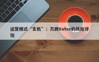 运营模式“玄机”：万腾Vatee的风险评估