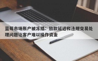 蓝莓市场账户被冻结：放款延迟和违规交易处理问题让客户难以操作资金