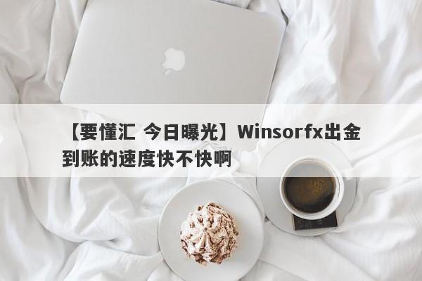 【要懂汇 今日曝光】Winsorfx出金到账的速度快不快啊
-第1张图片-要懂汇圈网