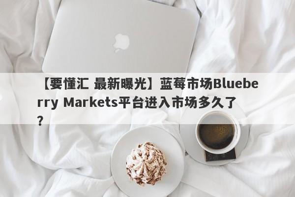 【要懂汇 最新曝光】蓝莓市场Blueberry Markets平台进入市场多久了？
-第1张图片-要懂汇圈网