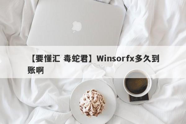 【要懂汇 毒蛇君】Winsorfx多久到账啊
-第1张图片-要懂汇圈网