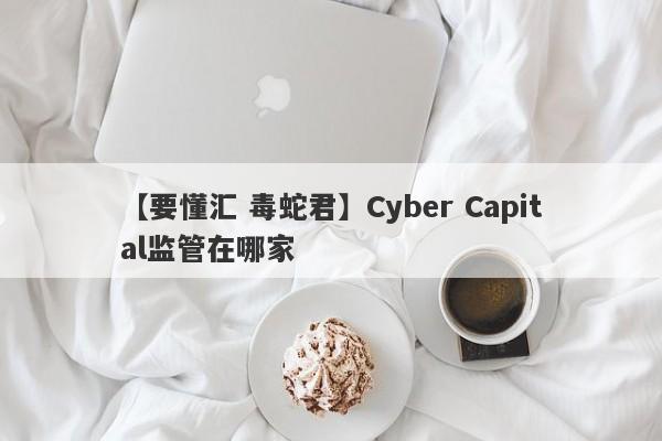 【要懂汇 毒蛇君】Cyber Capital监管在哪家
-第1张图片-要懂汇圈网