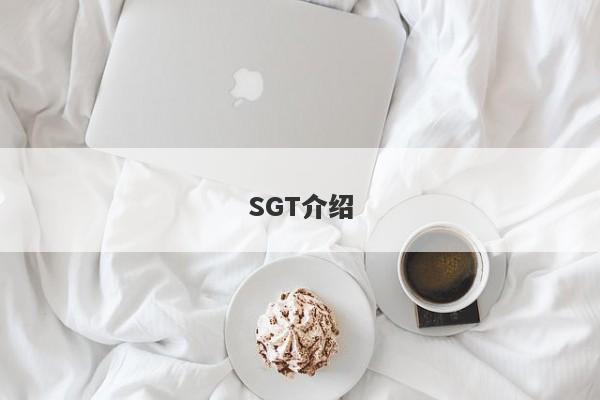 SGT介绍-第1张图片-要懂汇圈网