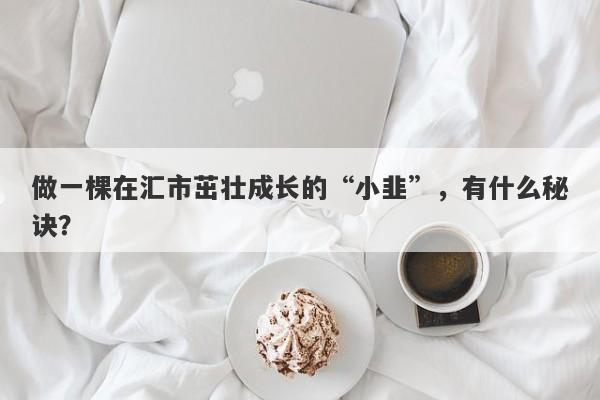 做一棵在汇市茁壮成长的“小韭”，有什么秘诀？-第1张图片-要懂汇圈网