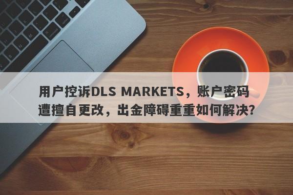 用户控诉DLS MARKETS，账户密码遭擅自更改，出金障碍重重如何解决？-第1张图片-要懂汇圈网