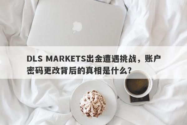 DLS MARKETS出金遭遇挑战，账户密码更改背后的真相是什么？-第1张图片-要懂汇圈网