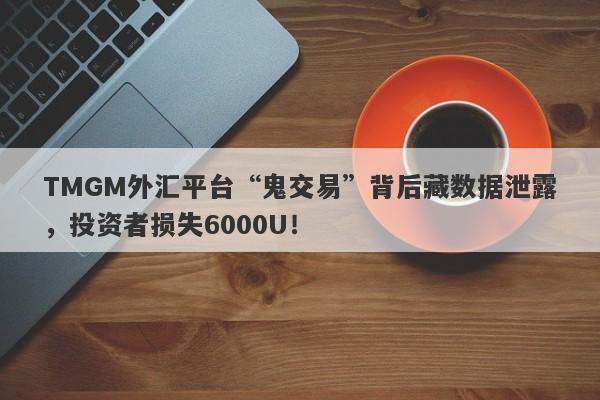 TMGM外汇平台“鬼交易”背后藏数据泄露，投资者损失6000U！-第1张图片-要懂汇圈网